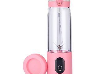 Juice Cup Portable Blender best
