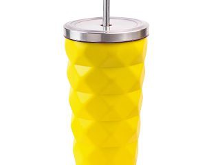 Stainless Steel Portable Juicer best